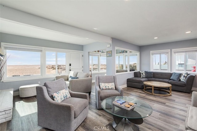 living room with hardwood / wood-style floors and a wealth of natural light