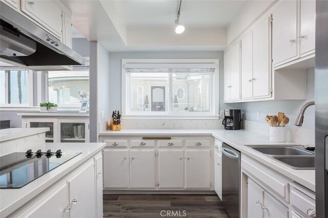 kitchen featuring black electric cooktop, white cabinets, and stainless steel dishwasher