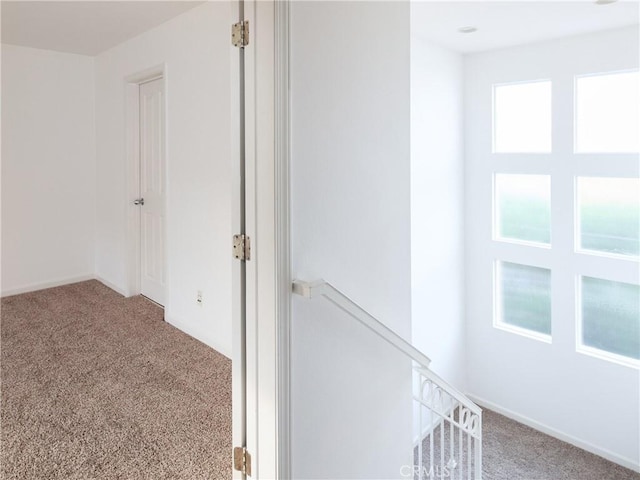 hallway with carpet flooring