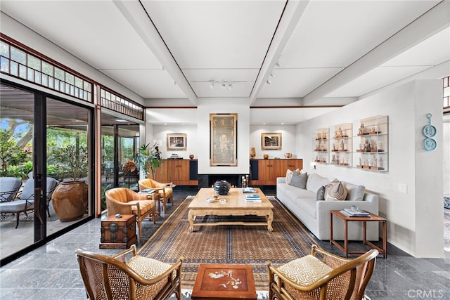 living room featuring french doors and track lighting