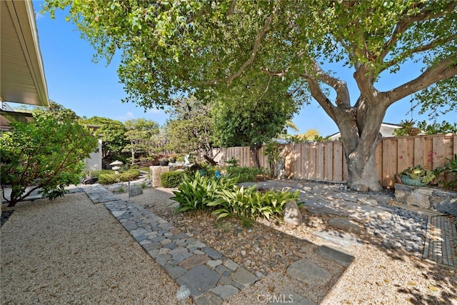 view of yard featuring a patio area