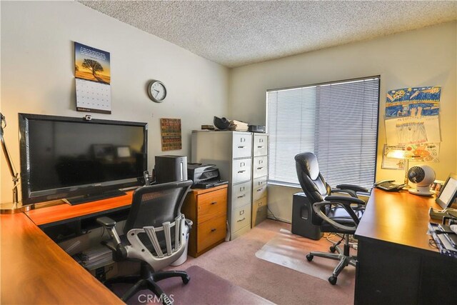 office space featuring a textured ceiling and light carpet