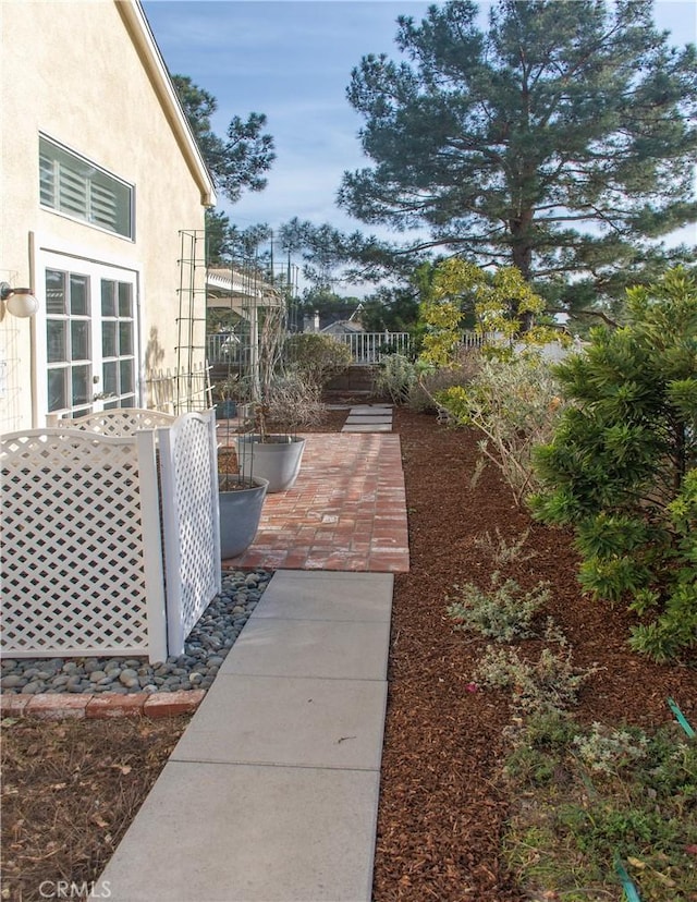 view of yard with a patio area