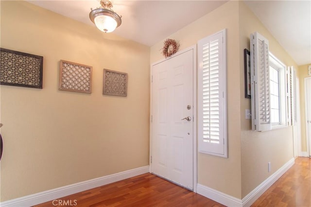 foyer entrance featuring wood-type flooring