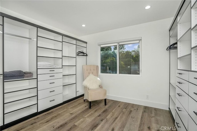 walk in closet with light wood-type flooring