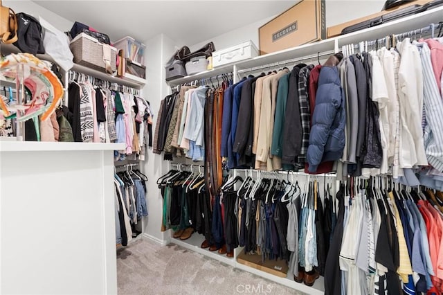 spacious closet featuring carpet flooring