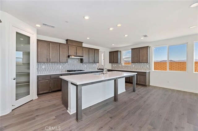 kitchen featuring sink, gas cooktop, light hardwood / wood-style floors, a kitchen island with sink, and dark brown cabinets