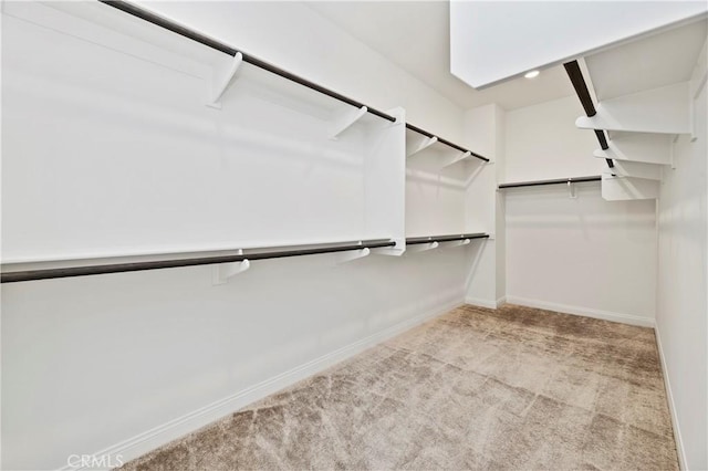 walk in closet featuring light carpet