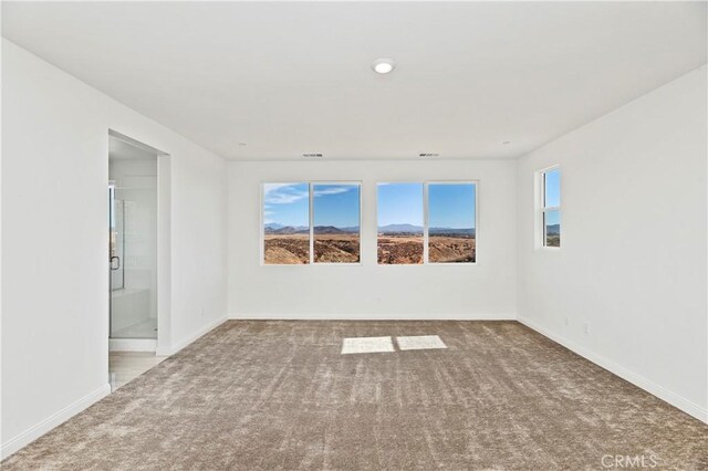 empty room featuring carpet floors