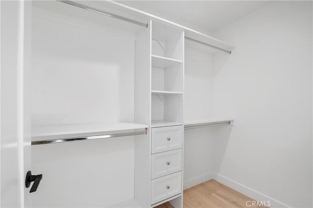 spacious closet featuring light hardwood / wood-style floors