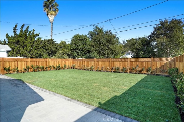 view of yard with a patio area