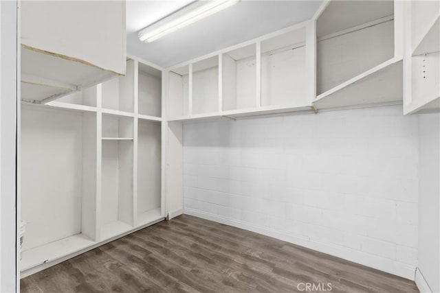 spacious closet featuring dark hardwood / wood-style flooring