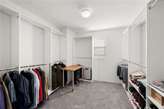 spacious closet with light colored carpet