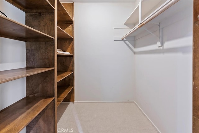 spacious closet with carpet flooring