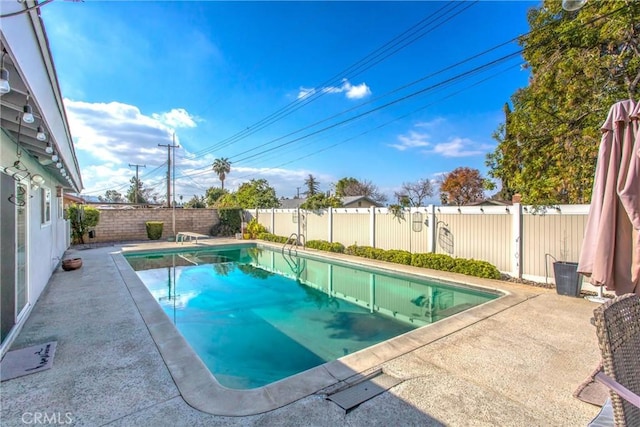 view of swimming pool with a patio area