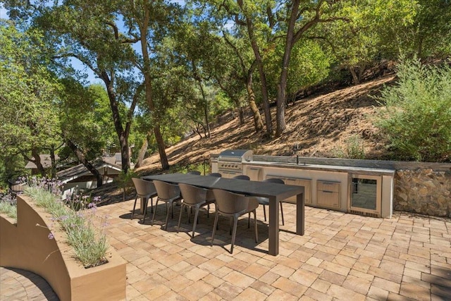 view of patio / terrace with area for grilling and a grill