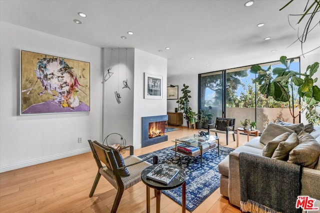 living room with light hardwood / wood-style flooring