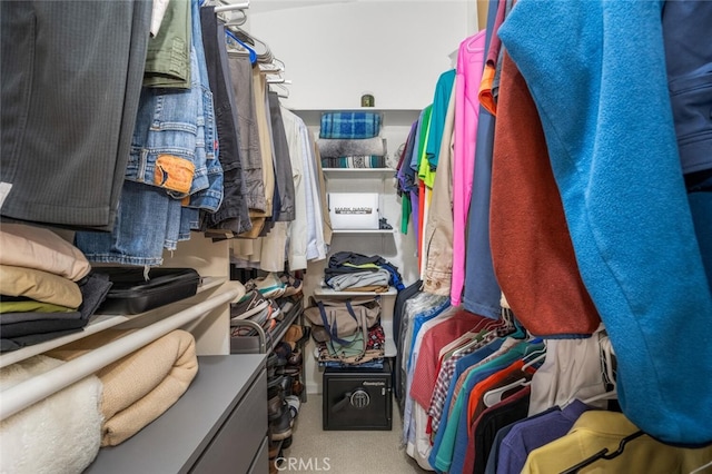 spacious closet featuring carpet