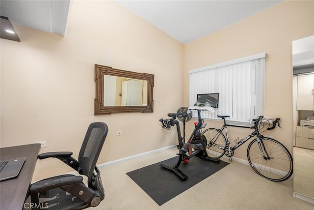 workout area featuring carpet