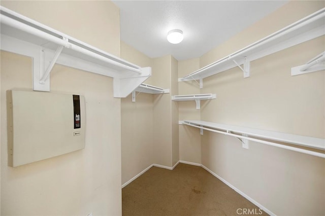 walk in closet with carpet floors