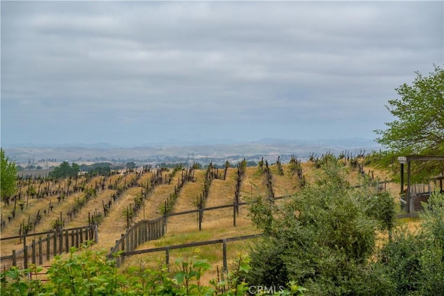7240 Iverson Pl, Paso Robles, CA 93446 - view of yard featuring a mountain view, fence, and a rural view