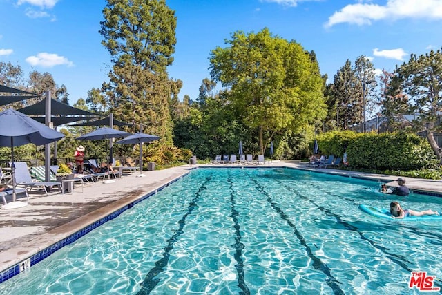 view of swimming pool with a patio area