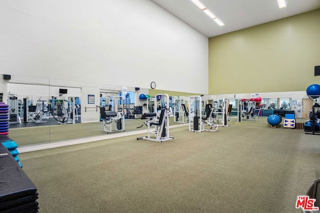 workout area featuring a high ceiling