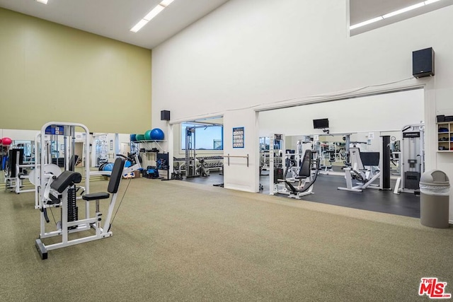 exercise room featuring a towering ceiling