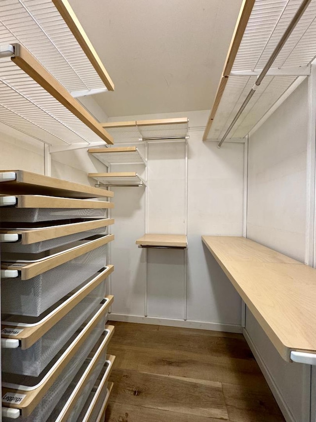 spacious closet featuring dark wood-type flooring