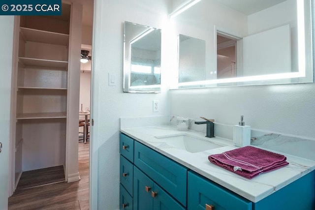 bathroom with hardwood / wood-style floors and vanity