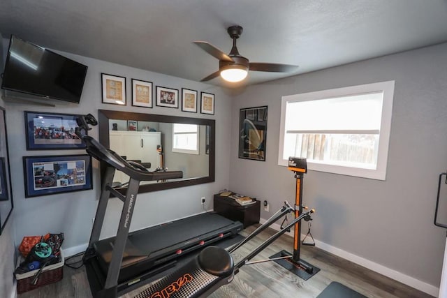 workout room with hardwood / wood-style flooring and ceiling fan