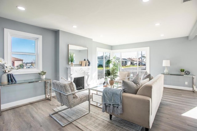 living room featuring plenty of natural light and hardwood / wood-style floors