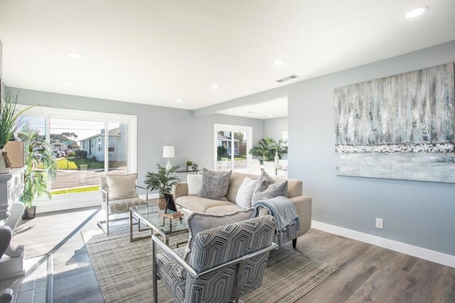 living room featuring wood-type flooring