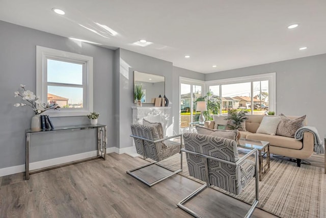 living room with hardwood / wood-style flooring