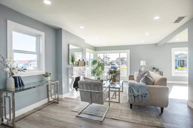 living room with light hardwood / wood-style floors