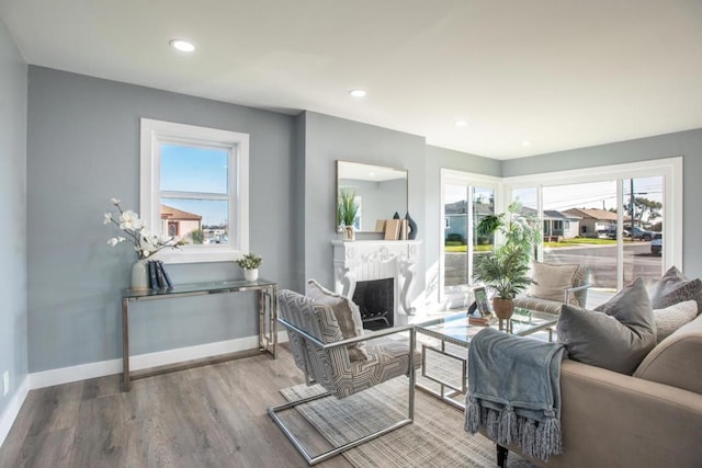 living room featuring hardwood / wood-style floors