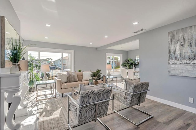 living room with hardwood / wood-style flooring