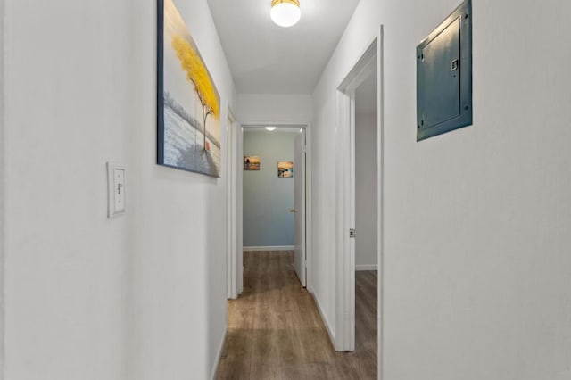 hall featuring hardwood / wood-style flooring and electric panel