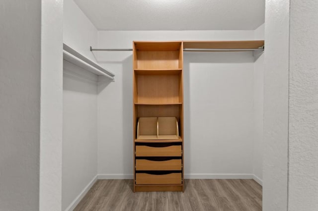 spacious closet featuring light hardwood / wood-style floors