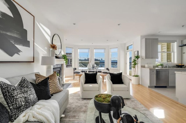 living room featuring sink, a fireplace, and light hardwood / wood-style floors