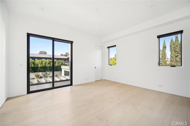 empty room featuring plenty of natural light and light wood finished floors