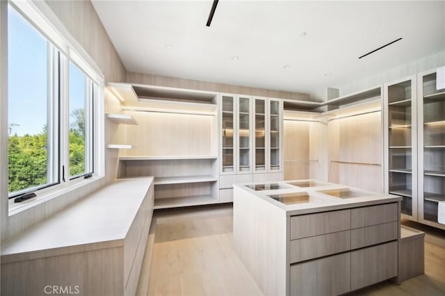 walk in closet featuring light wood finished floors