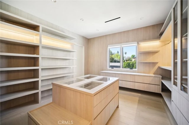 walk in closet featuring light wood-style floors