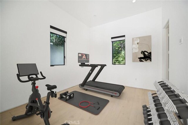 5321 Oak Park Ave, Encino, CA 91316 - photo 74