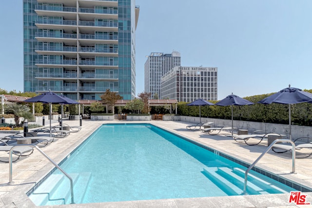 view of pool featuring a patio