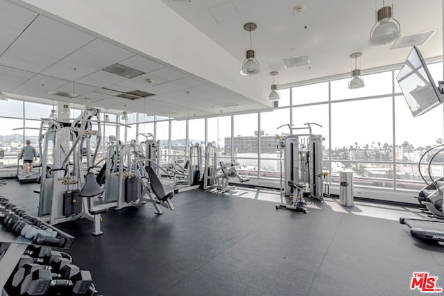 workout area with a paneled ceiling and expansive windows