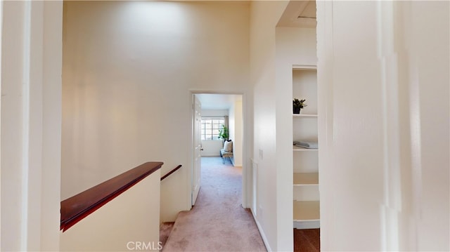 hallway with built in features and light carpet