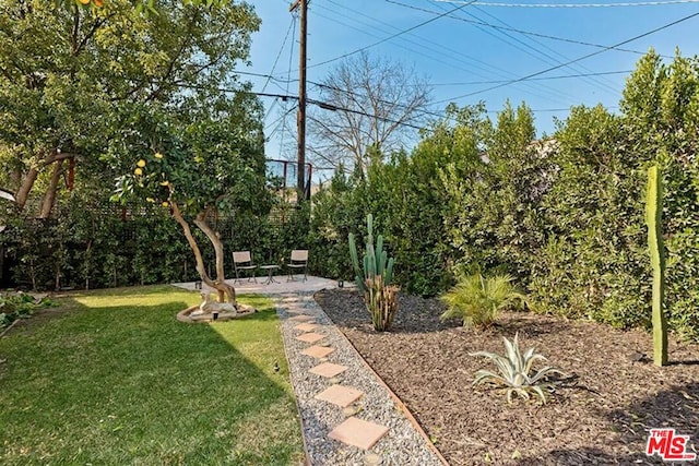 view of yard with a patio