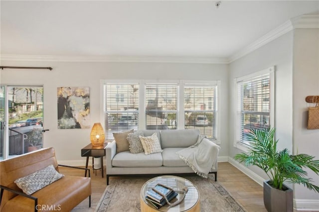 living room featuring crown molding and light hardwood / wood-style flooring