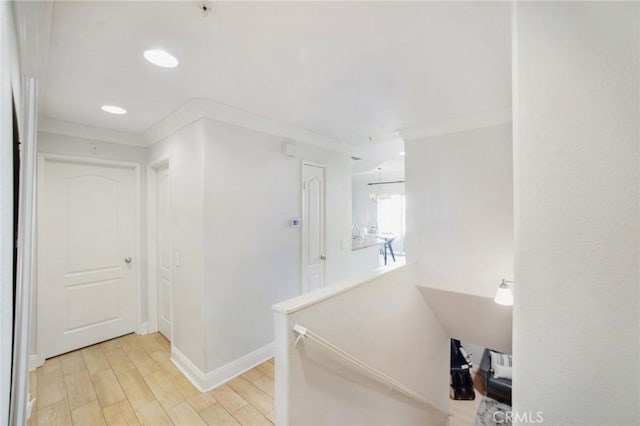 hall featuring light hardwood / wood-style floors and ornamental molding